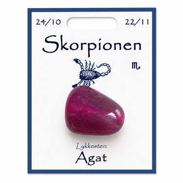 Skorpionen lykkesten med agat på kort