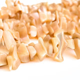 Store Shell, splitter/ chips - Hel streng