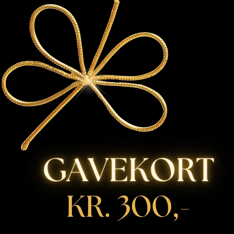 300 kr. Gavekort - Print selv