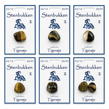 Stenbukken lykkesten med tigerøje på kort
