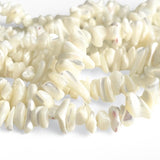 Shell, splitter/ chips - Hel streng