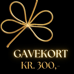 Gavekort til smykkedele på kr. 300,-