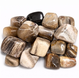 forstenet træ lykkesten