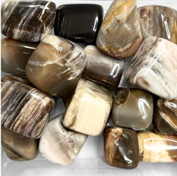 forstenet træ lykkesten