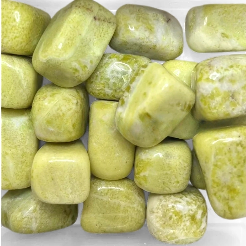 sennepssten lykkesten gul grøn