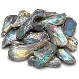 Pauaskal lykkesten til Fisk