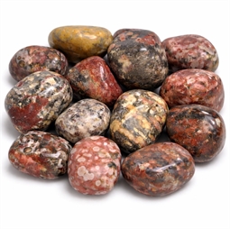 Leopard jaspis lykkesten til Løve