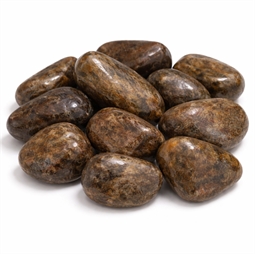 Bronsit lykkesten til Løve