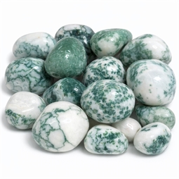 agat træ lommesten hvid grøn