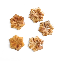 Lysebrune perlemorsblomster 30 mm uden hul